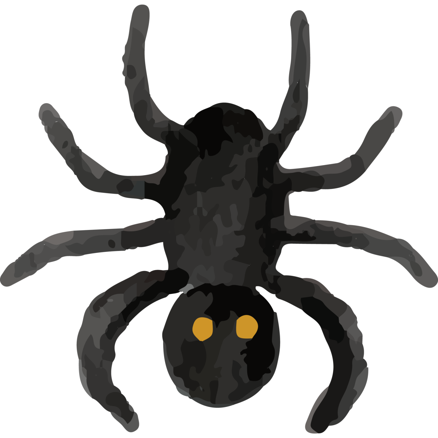 a black spider on a white background