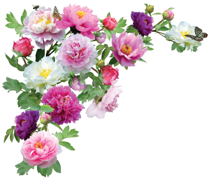a bunch of pink and white flowers with green leaves