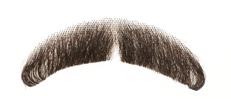 a close up of a mustache on a white background