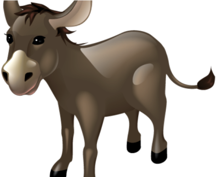 a brown donkey standing on a white background