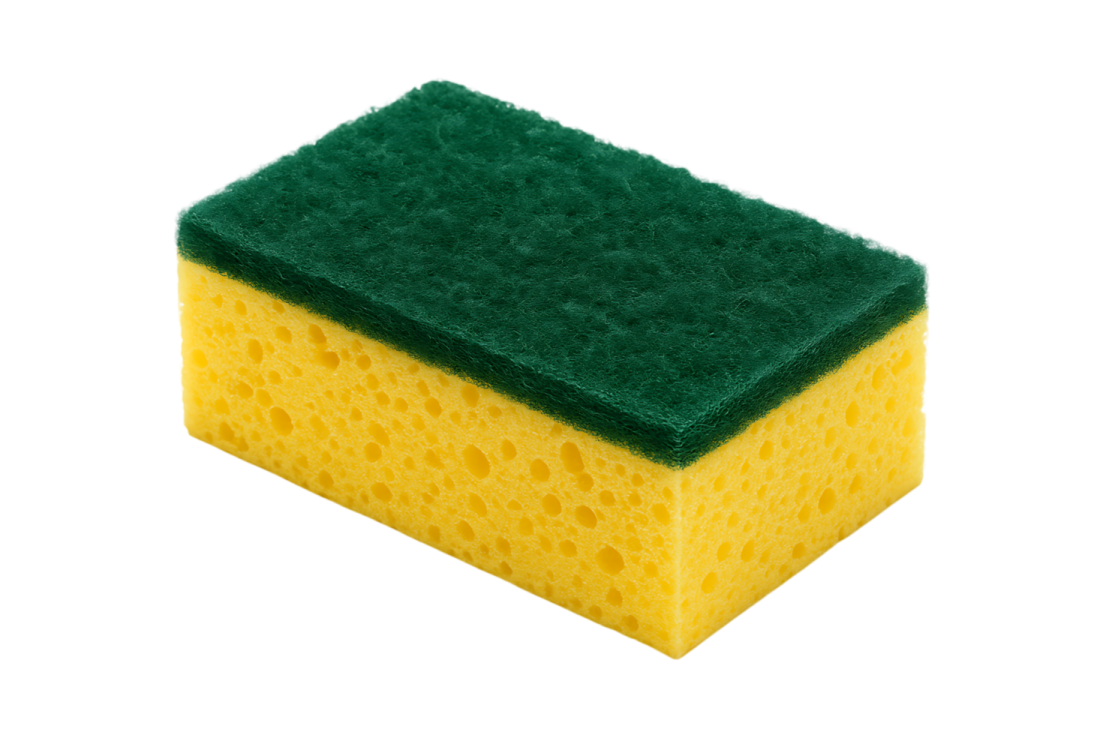 a sponge on a white background