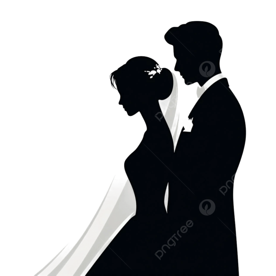 a silhouette of a bride and groom