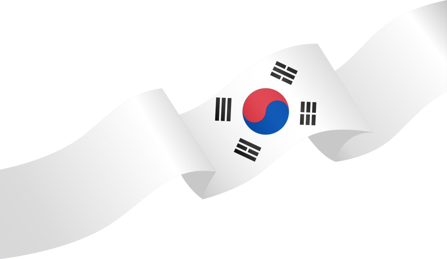 the flag of south korea