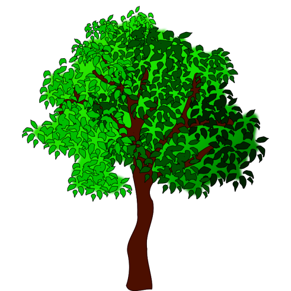 a tree with green leaves on it