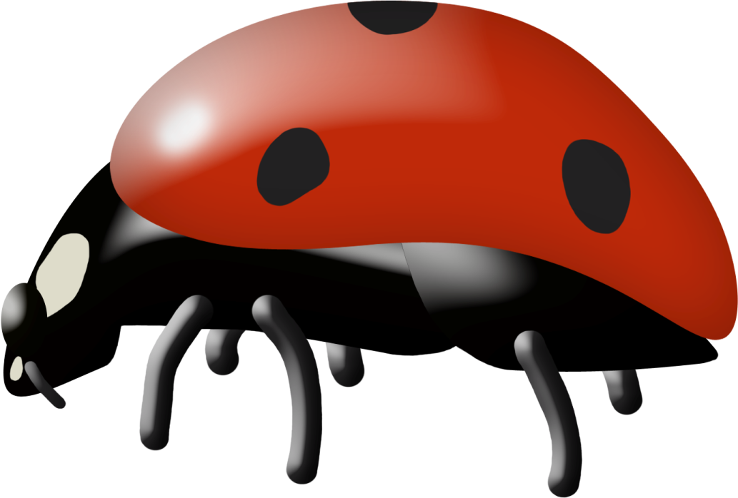 a lady bug with black spots on it's back