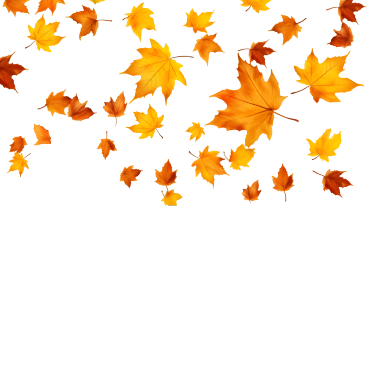 a bunch of autumn leaves flying in the air