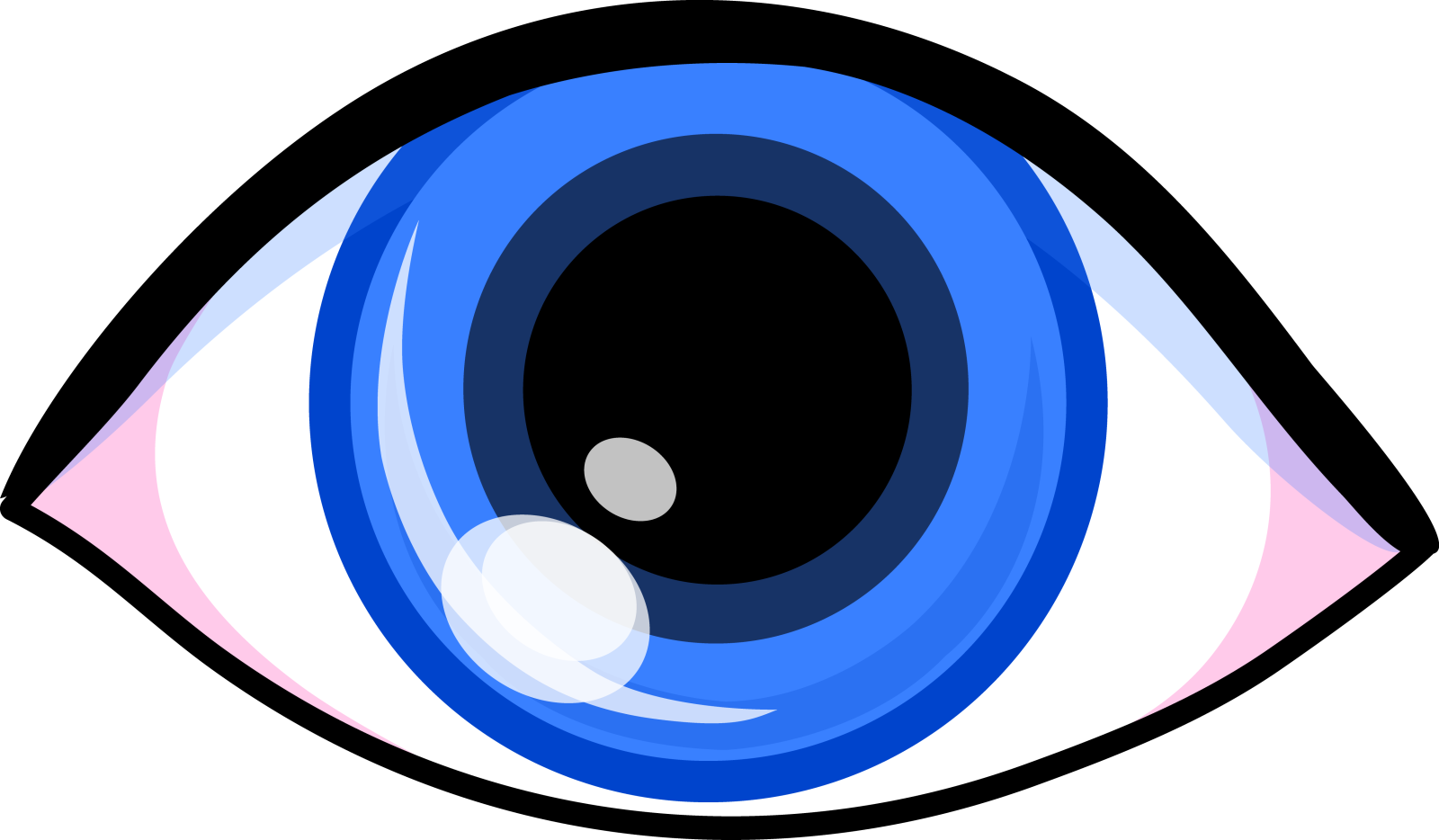 an image of a blue eye