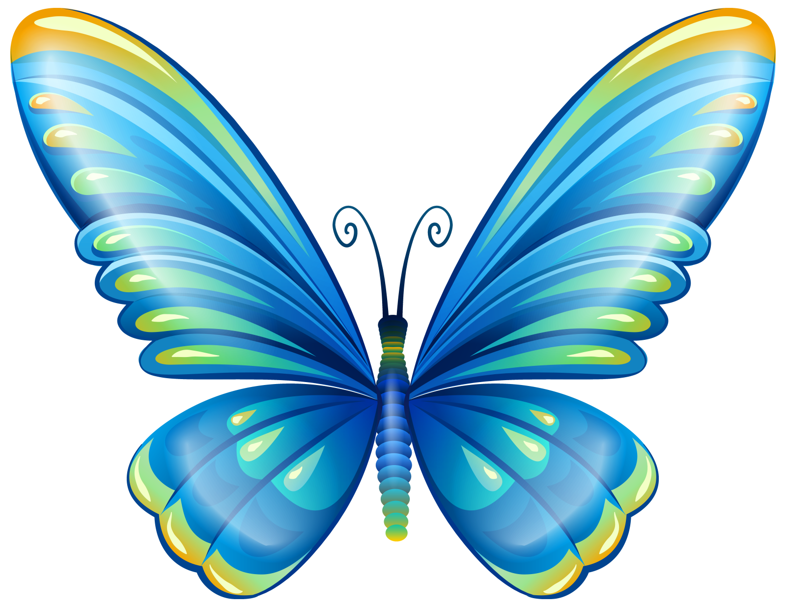 a blue butterfly on a white background