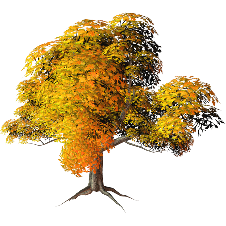 a tree with yellow leaves on it