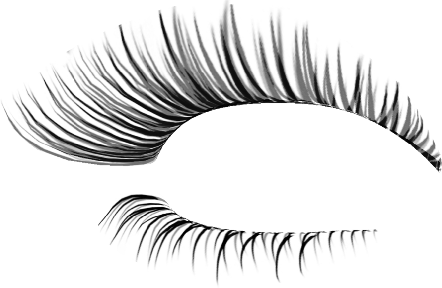a pair of eyelashes with long lashes