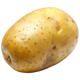 a potato on a white background