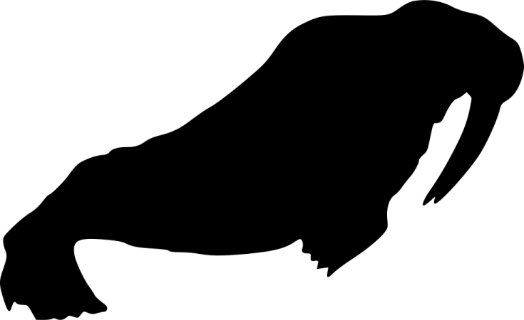 a black and white silhouette of a buffalo
