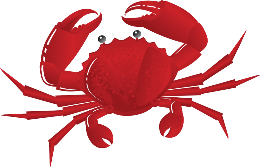 a red crab on a white background