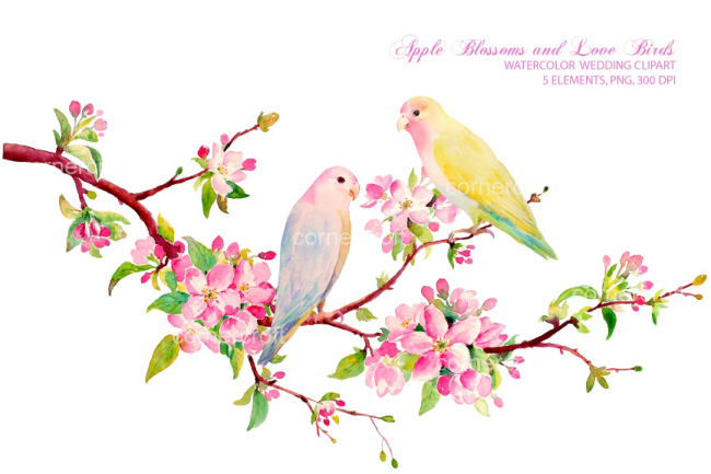 two birds sitting on a branch with pink flowers