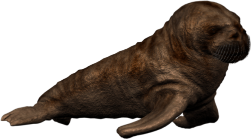 an image of a seal on a white background