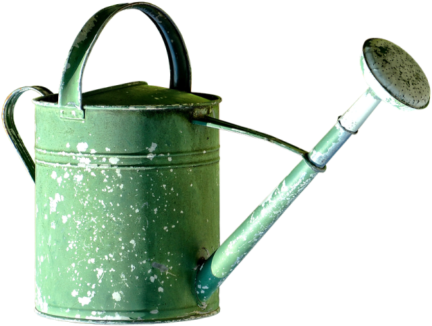 an old green watering can with a metal handle