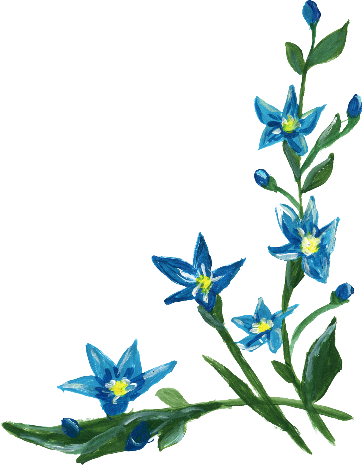 a blue flower on a white background