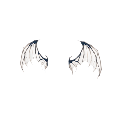 a pair of wings on a white background