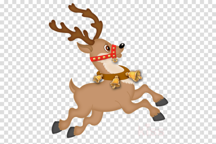 a reindeer with a red scarf on it's back