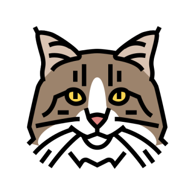 a cat's face with yellow eyes