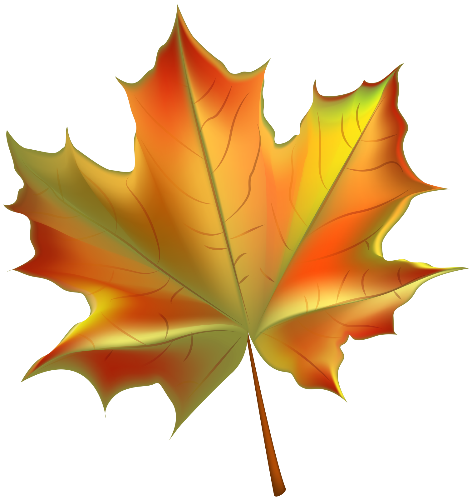 a maple leaf