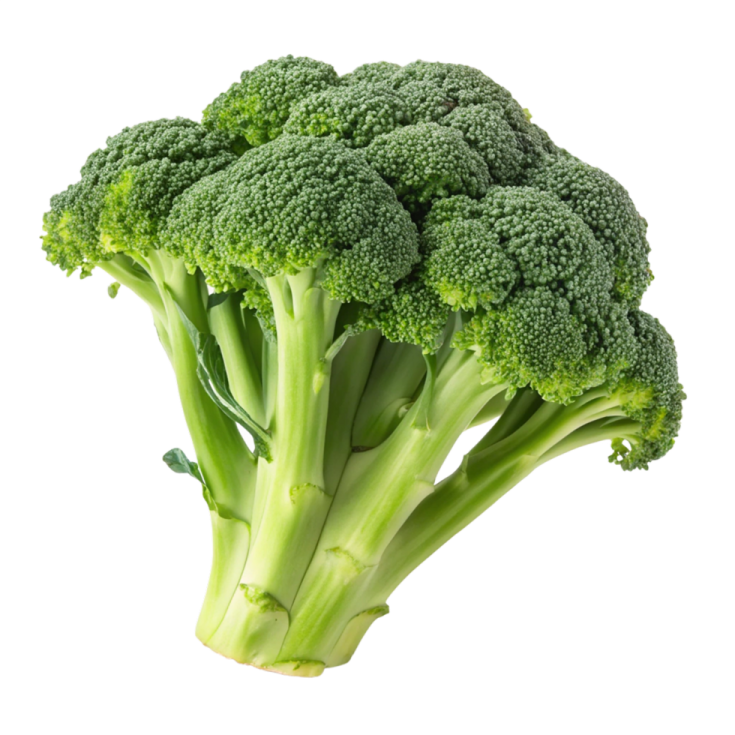a close up of a piece of broccote