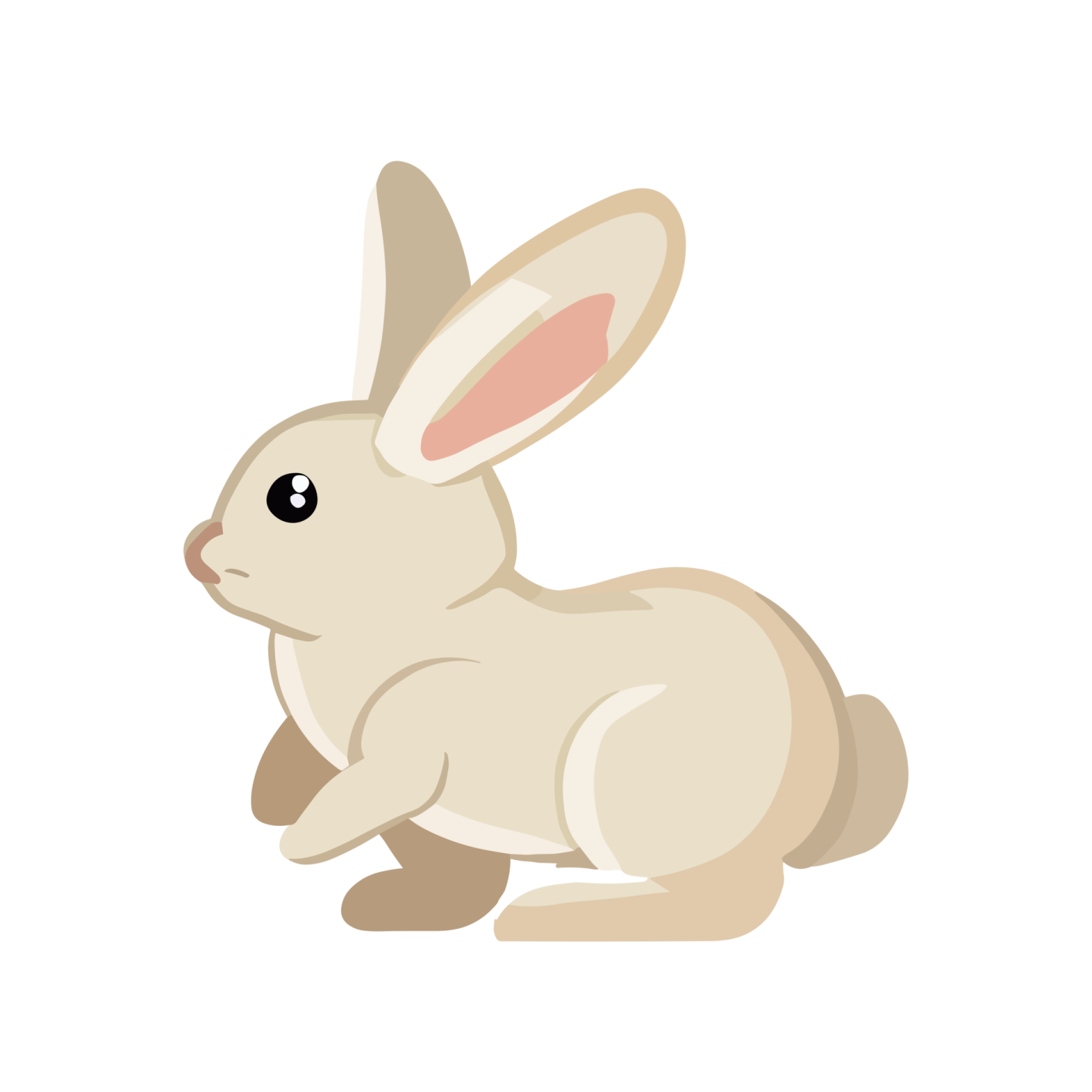 a white rabbit sitting on the ground