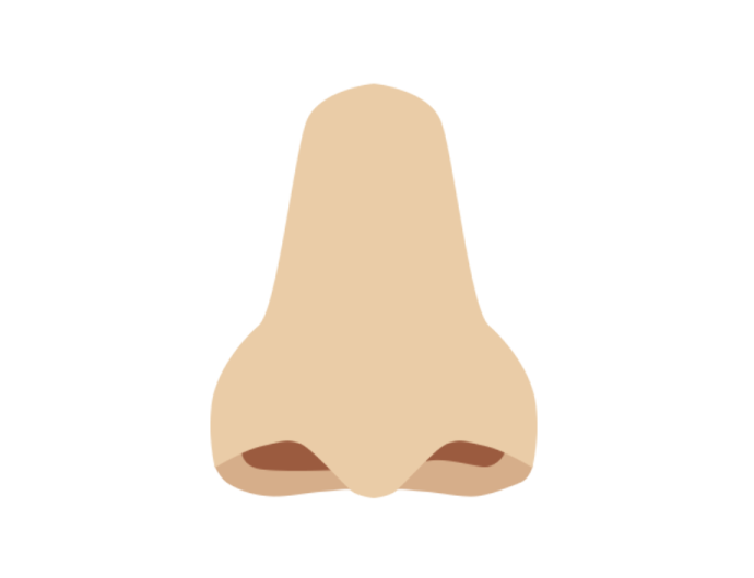 an illustration of a nose