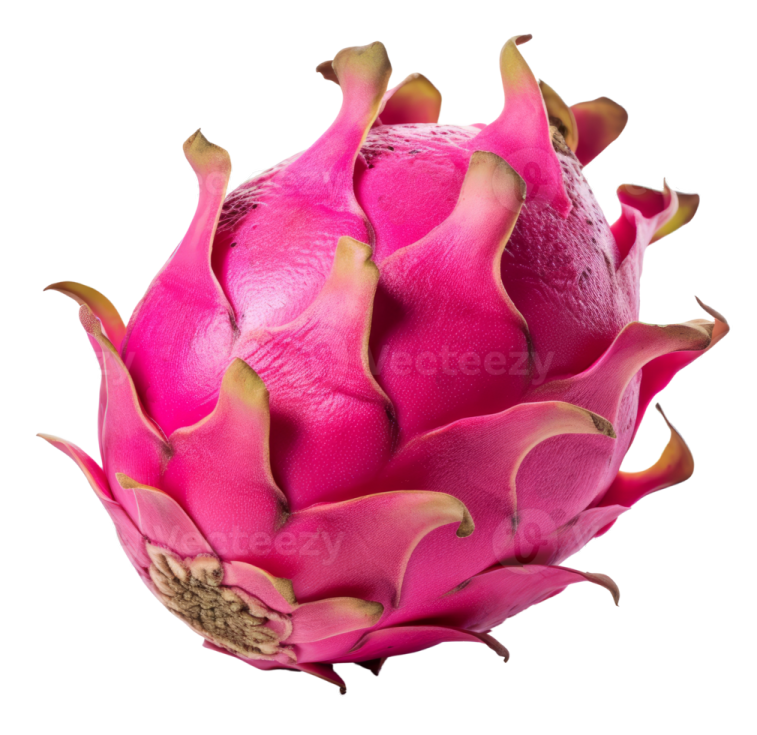 dragon fruit on a white background