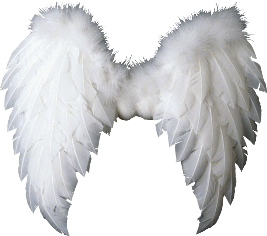 a pair of white wings on a white background
