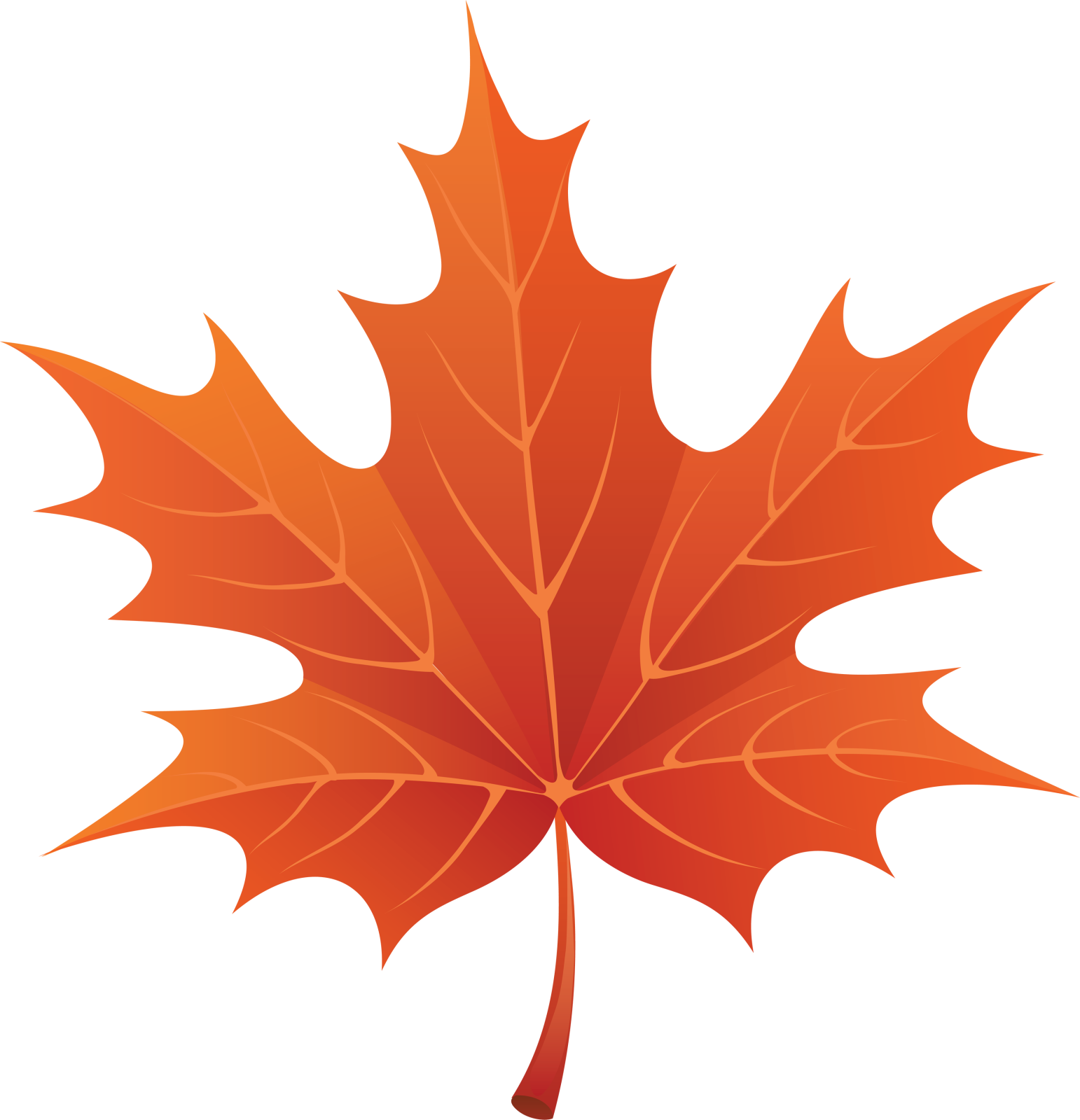 a red maple leaf