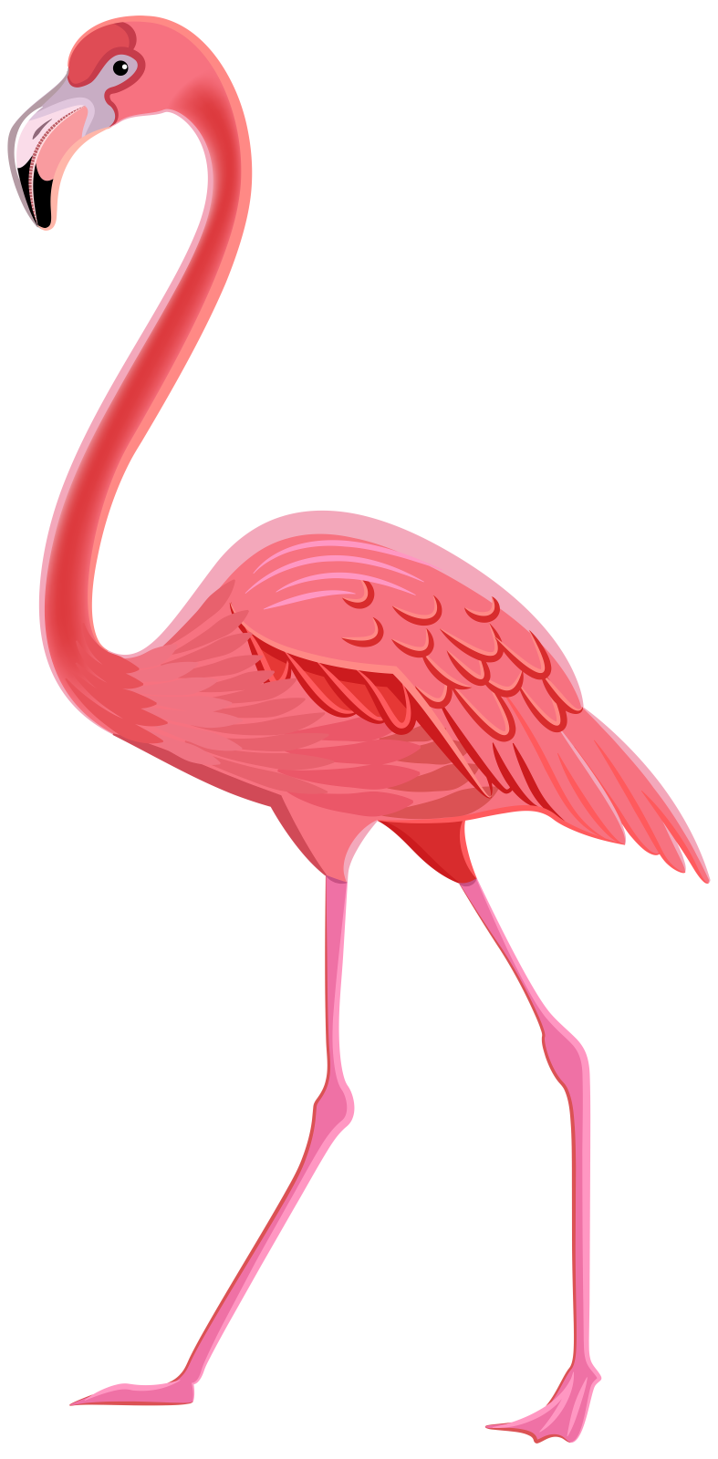 a pink flaming standing on its hinds