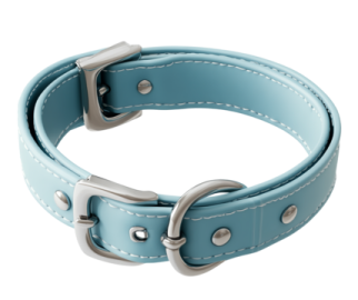 a light blue leather dog collar with white stitching