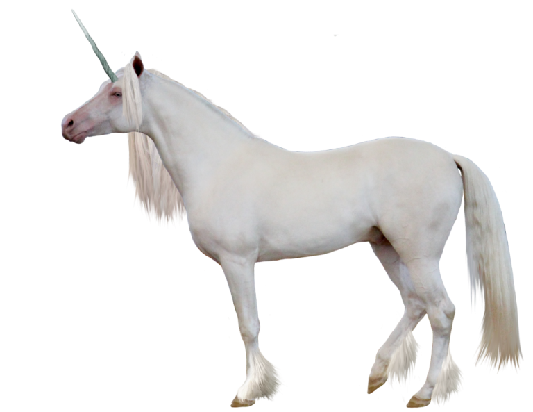 a white unicorn with long hair standing in front of the camera