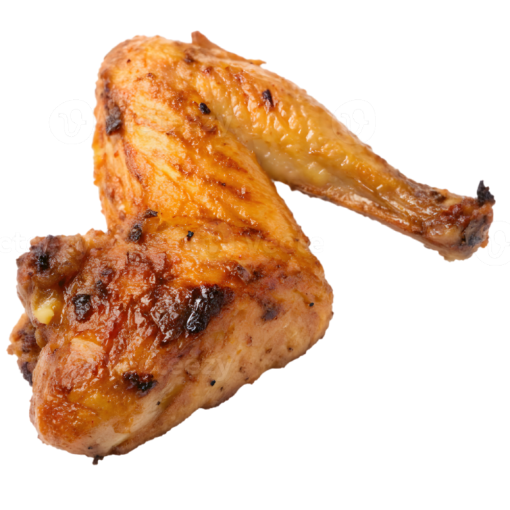 chicken wings on a white background