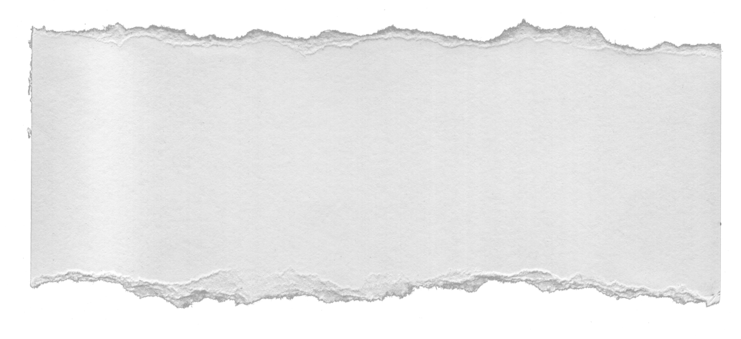 a piece of torn paper on a white background
