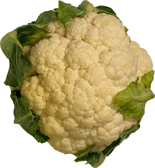 a piece of caulide