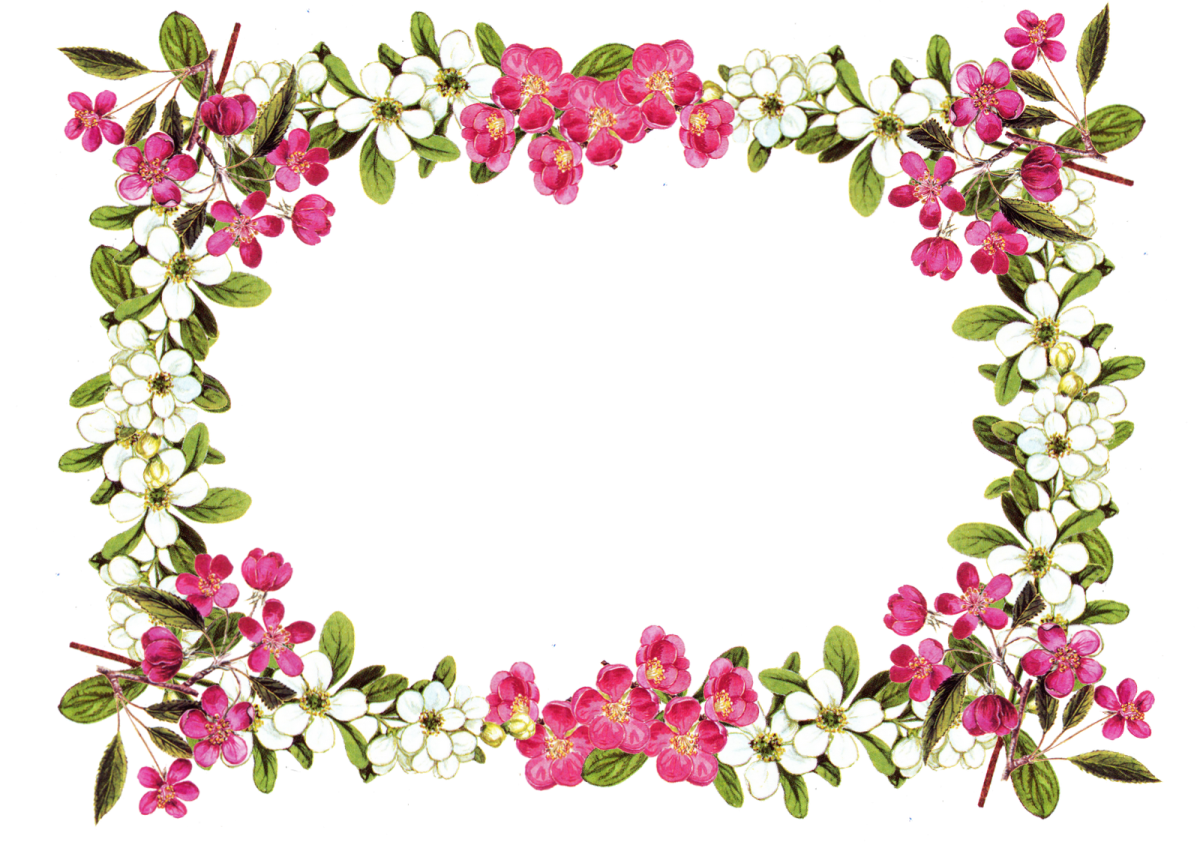 a floral frame with pink flowers and green leaves