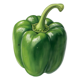 a green pepper on a white background