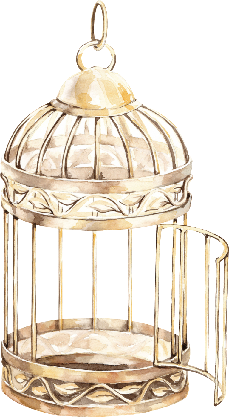 a watercolor painting of a bird in a cage
