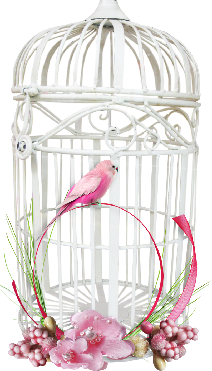 a white bird in a cage with pink flowers