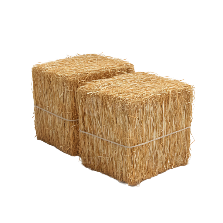 two hay bales on a white background