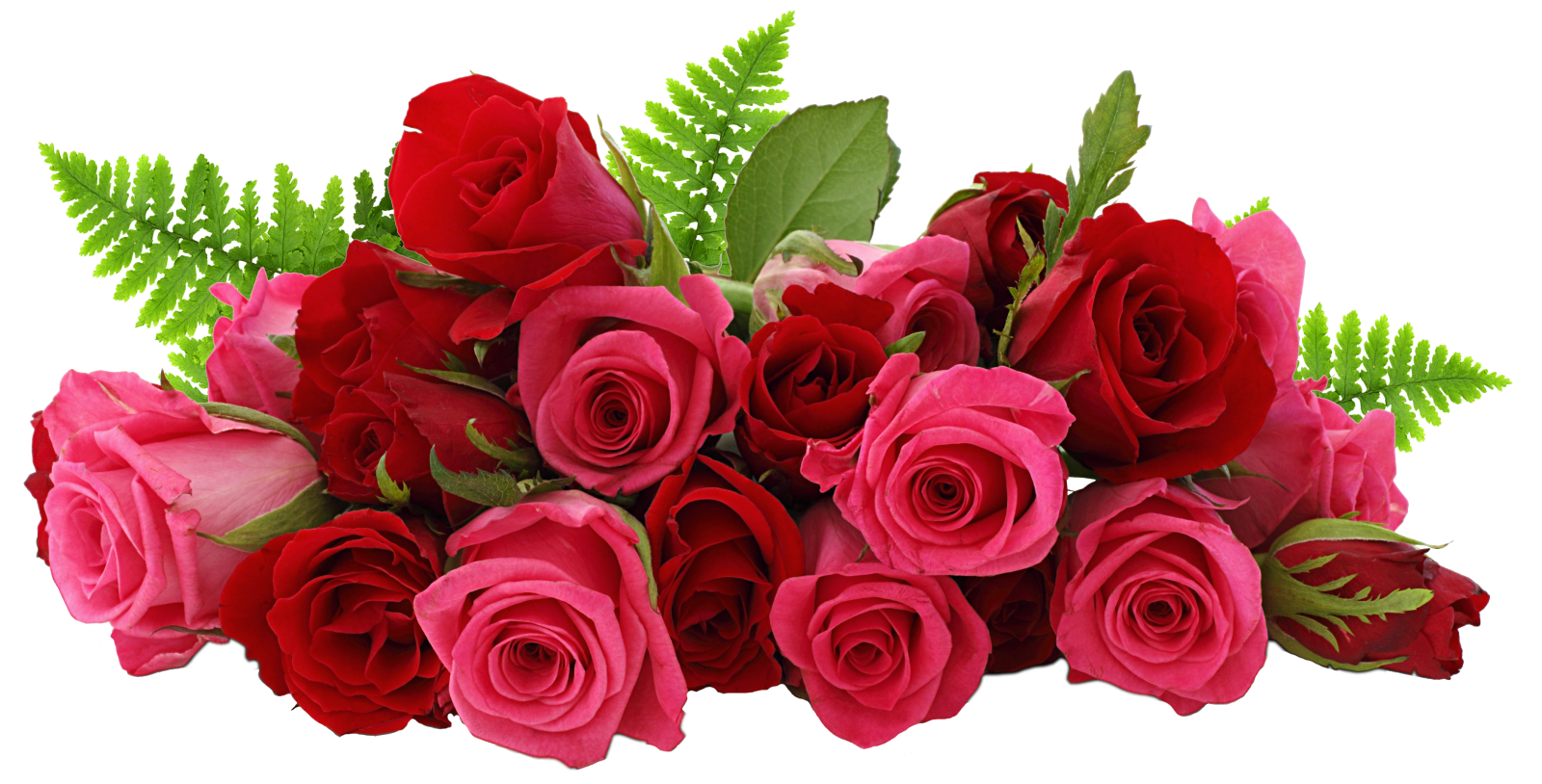 a bunch of red roses with green leaves