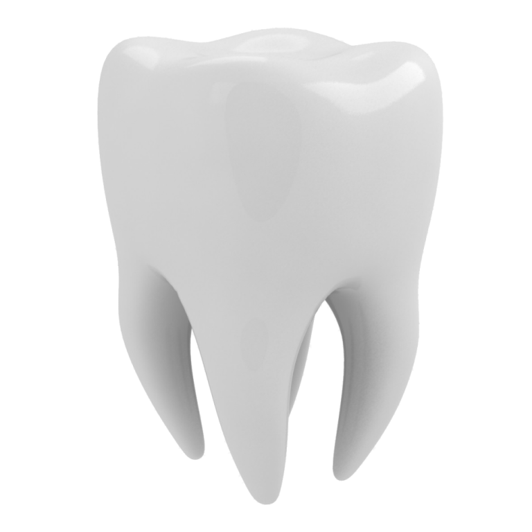 a tooth on a white background