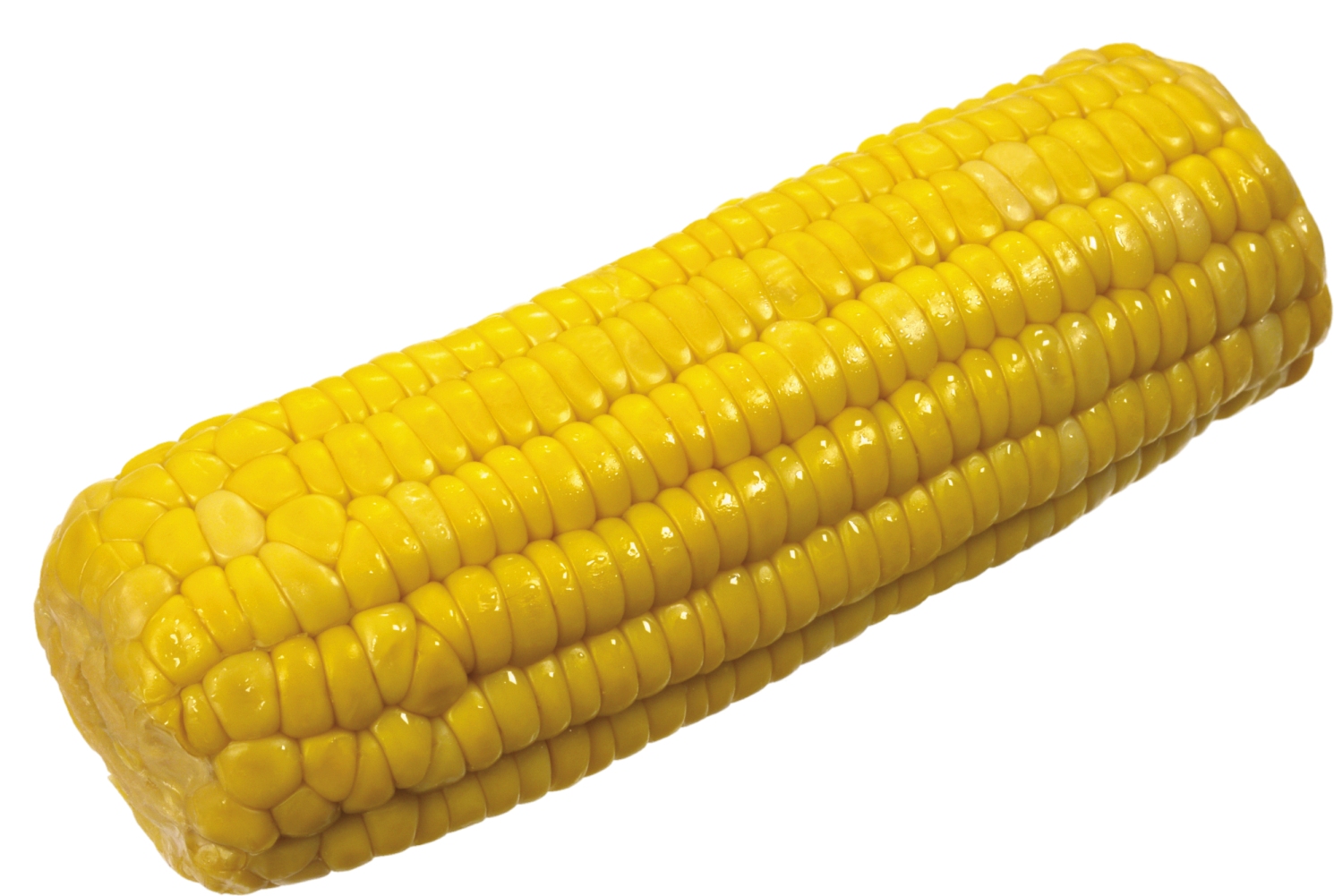 a piece of corn on a white background