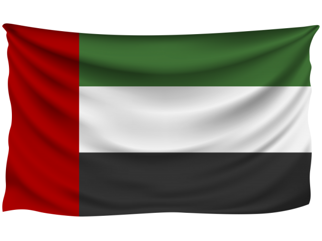 the flag of kuwait