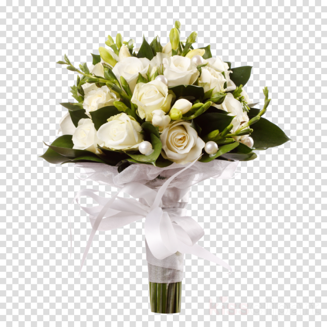 a bouquet of white roses on a transparent background
