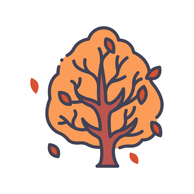 an orange tree with leaves on it