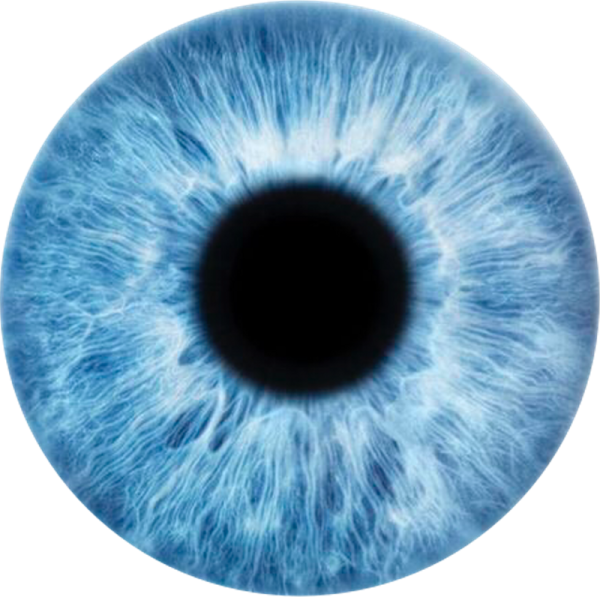 an image of a blue colored eye
