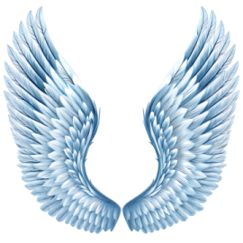 a pair of wings on a white background
